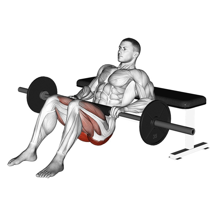Hip Thrust exercise animation