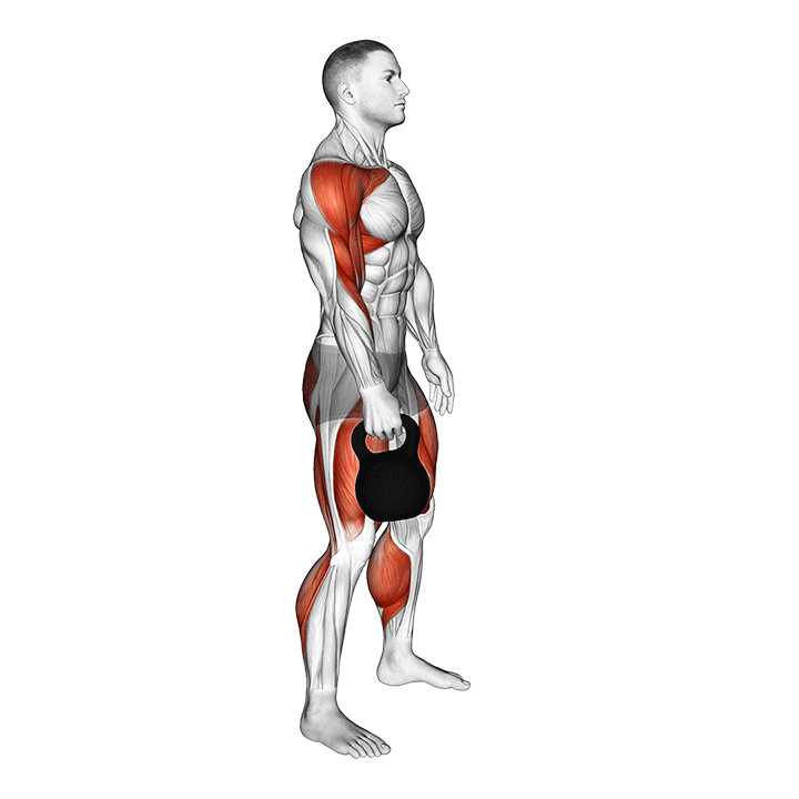 Kettelbell Clean exercise animation