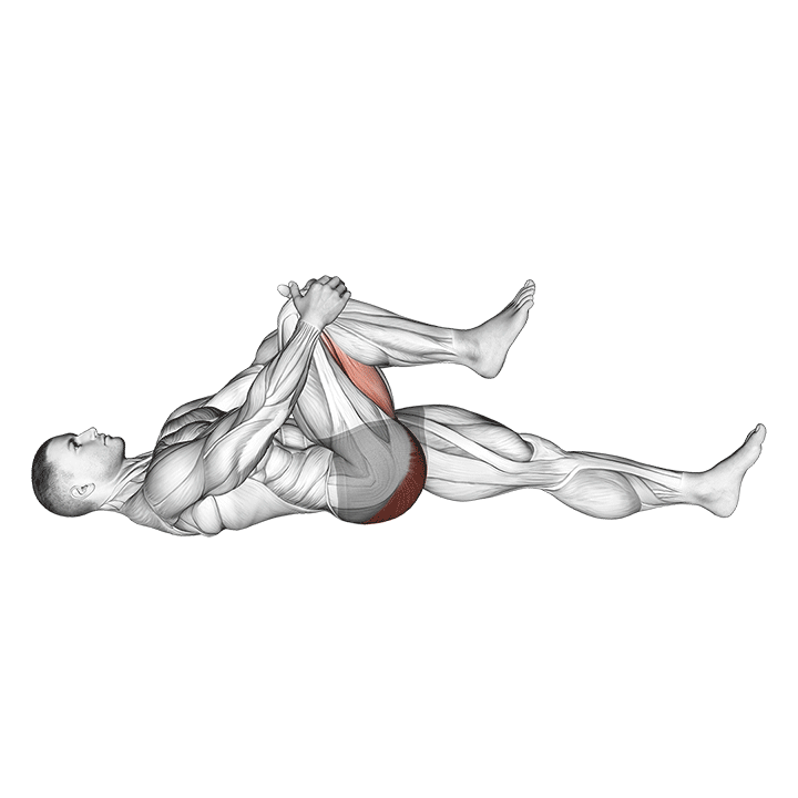 Knee To Chest Stretch exercise animation