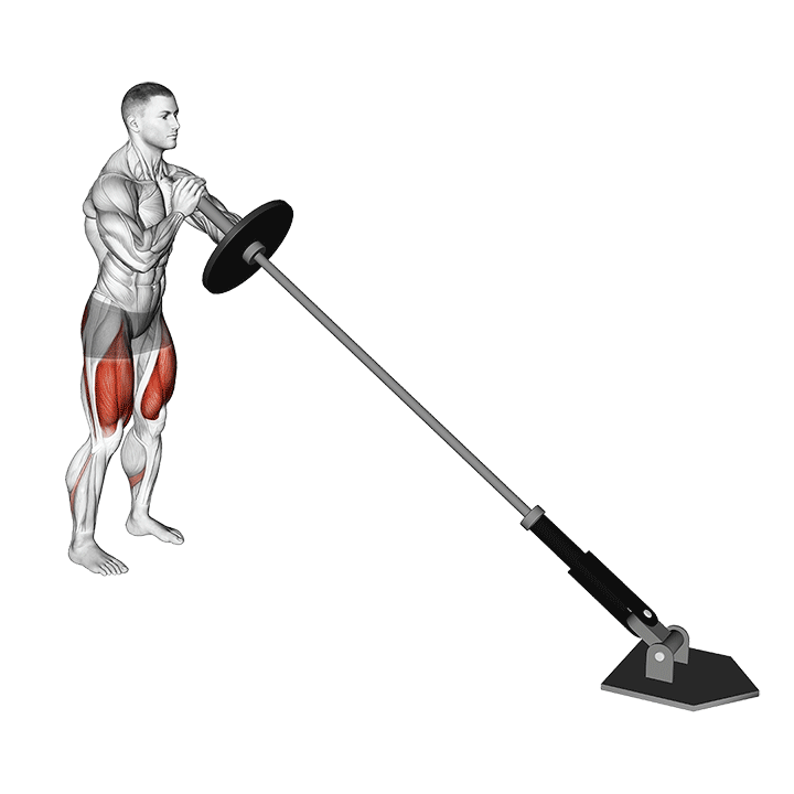 Landmine Squat exercise animation