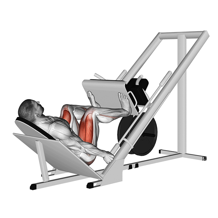 Leg Press Wide Stance exercise animation