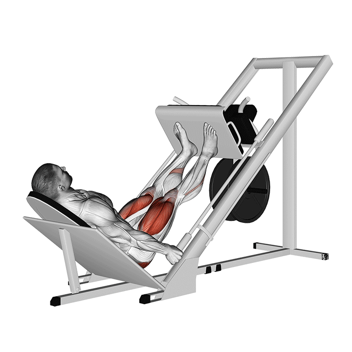 Leg Press exercise animation