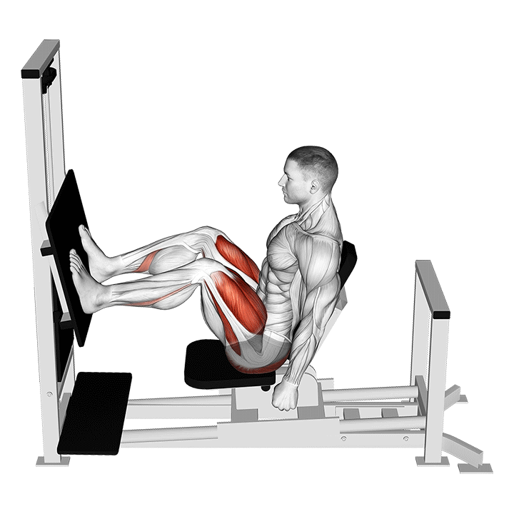 Lever Horizontal Leg Press exercise animation