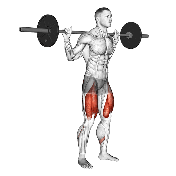 Lowbar Squat exercise animation