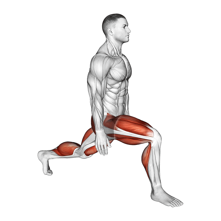 Lunge Stretch exercise animation