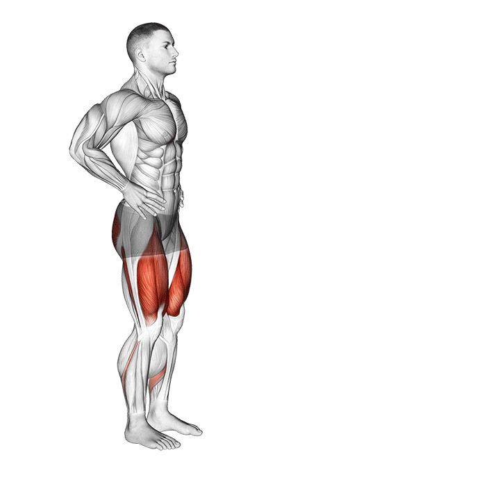 Lunges exercise animation