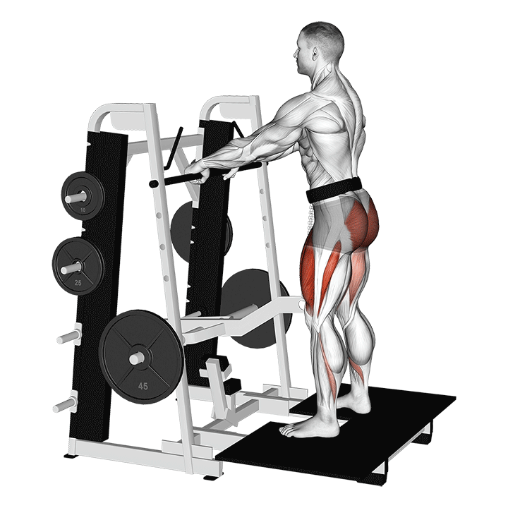 Machine Belt Squat exercise animation
