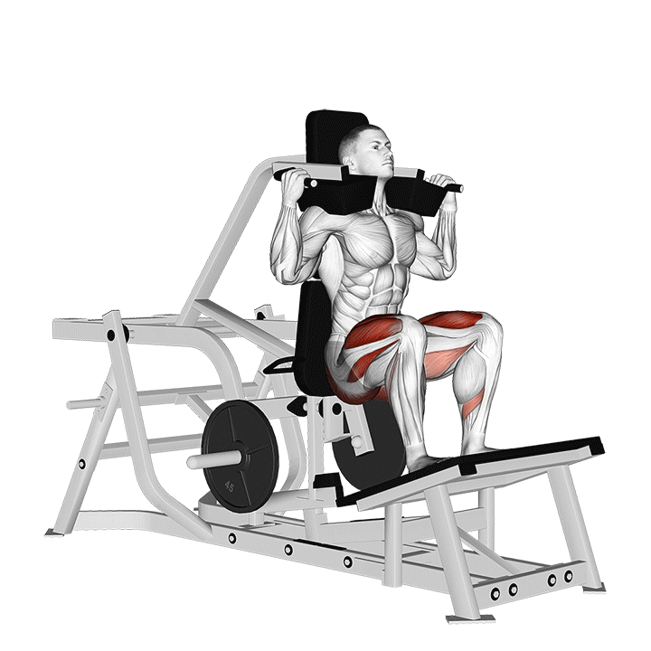 Machine Hack Squat exercise animation