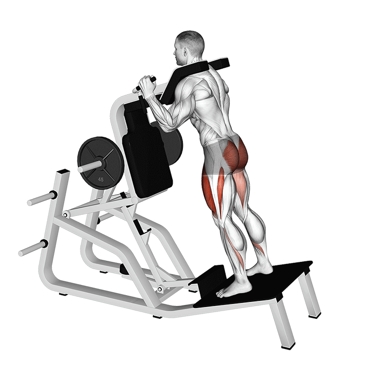 Machine Reverse Hack Squat exercise animation