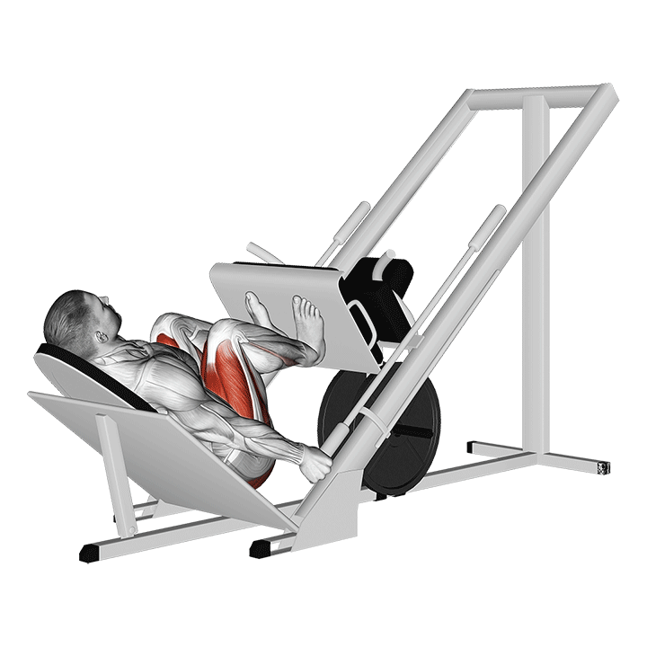 Narrow Stance 45 Degree Leg Press exercise animation