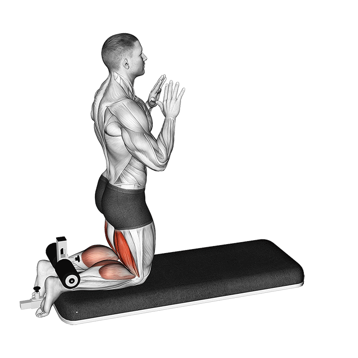 Nordic Hamstring Curl exercise animation