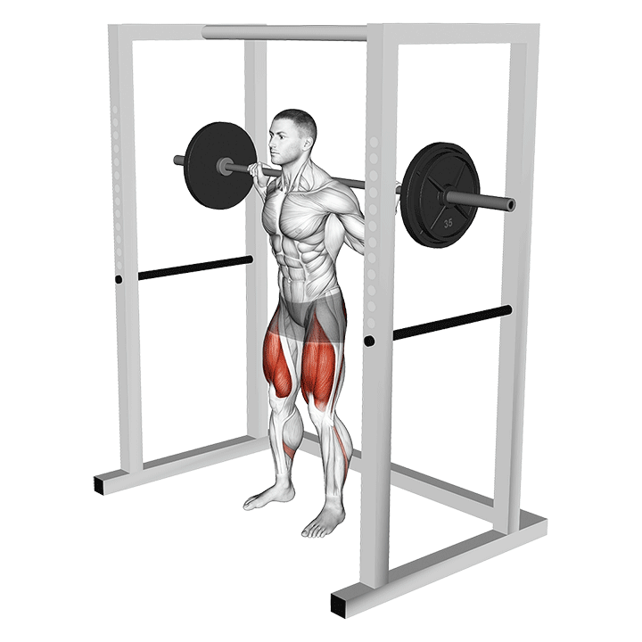 Pin Squat exercise animation