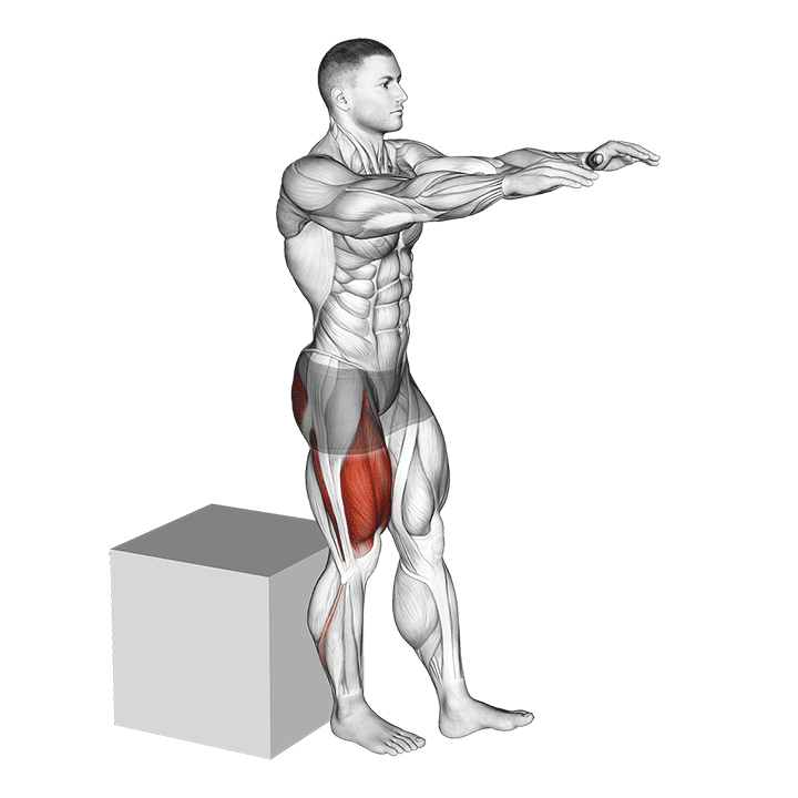 Pistol Box Squat exercise animation