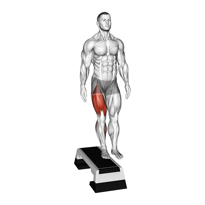 Poliquin Step-Up exercise animation