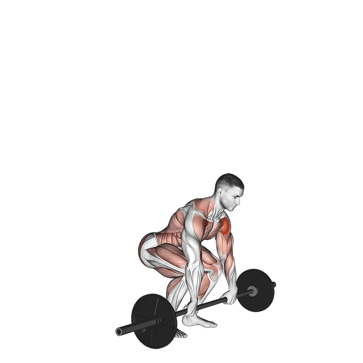 Power clean exercise animation