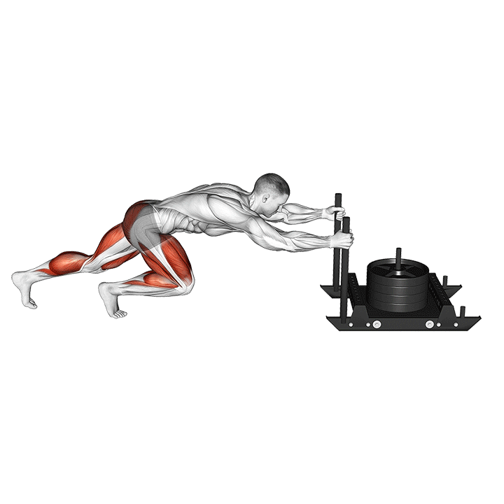 Prowler Sled exercise animation