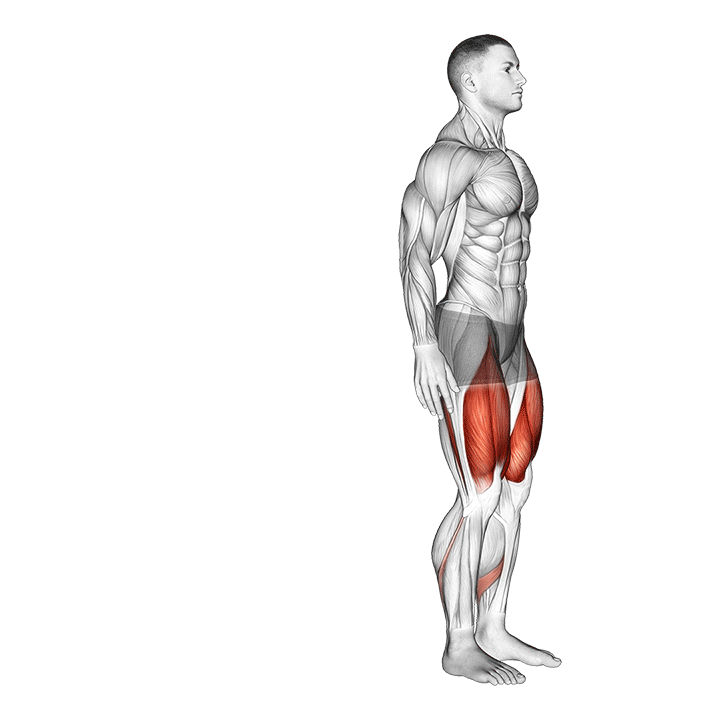 Rear Lunge exercise animation