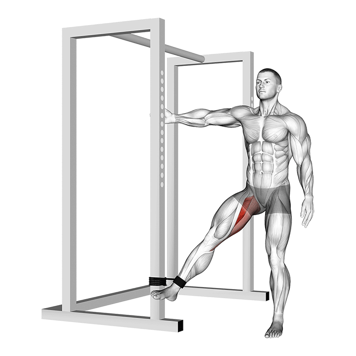 Resistance Band Hip Adduction exercise animation