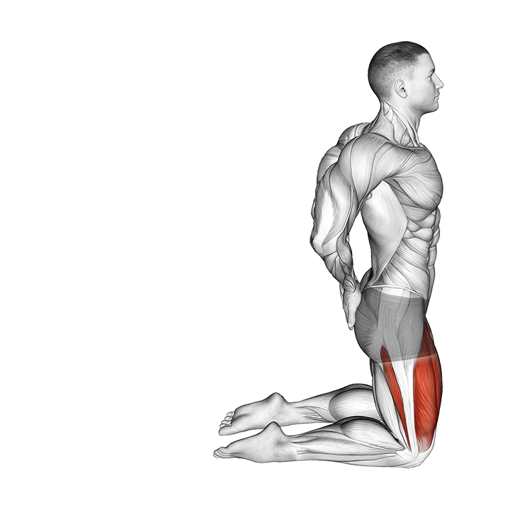 Reverse Nordic Curl exercise animation