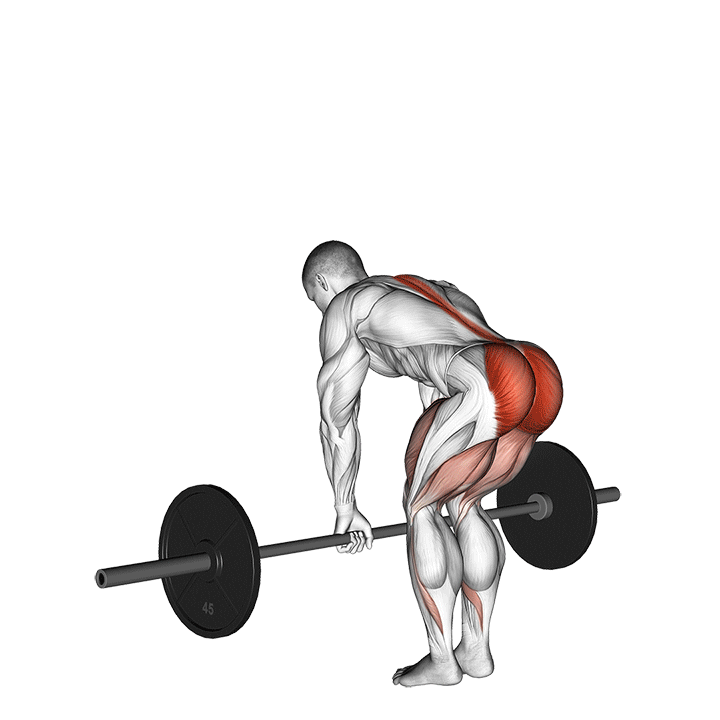 Romanian Deadlift exercise animation