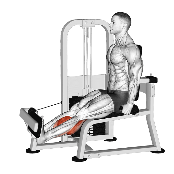Rotary Calf Raise exercise animation