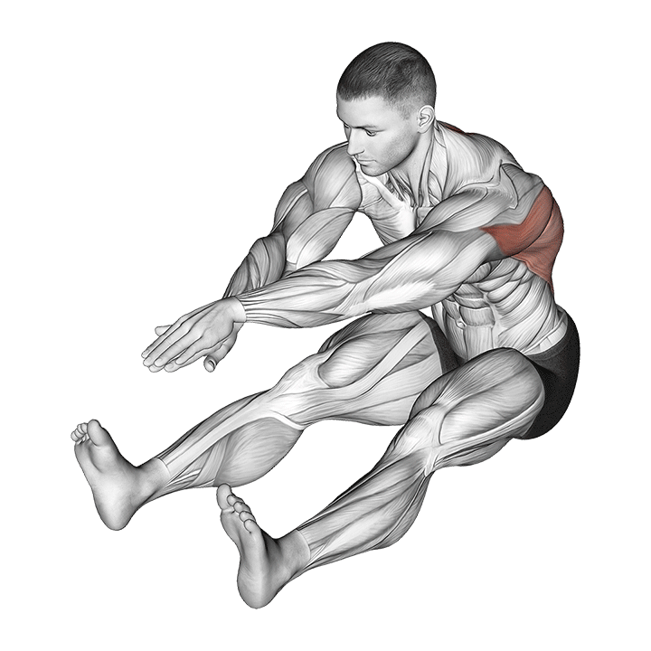 Seated Forward Fold exercise animation