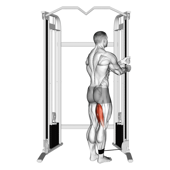 Single-Leg Cable Leg Curl exercise animation
