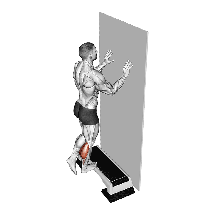 Single-Leg Calf Raise exercise animation