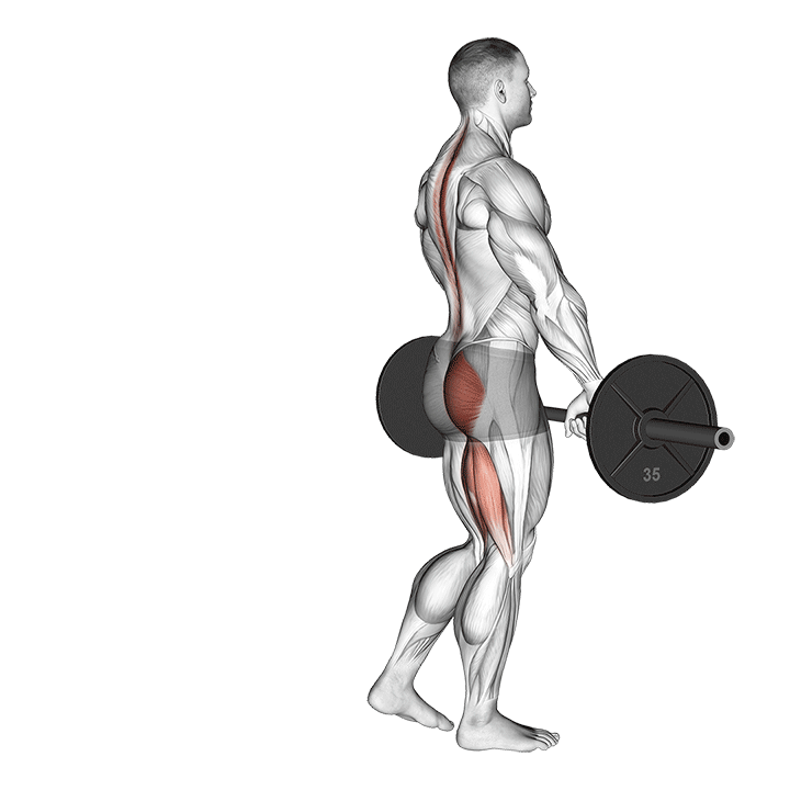 Single-Leg Deadlift exercise animation