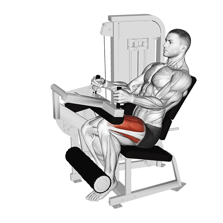 Single-Leg Extension exercise animation