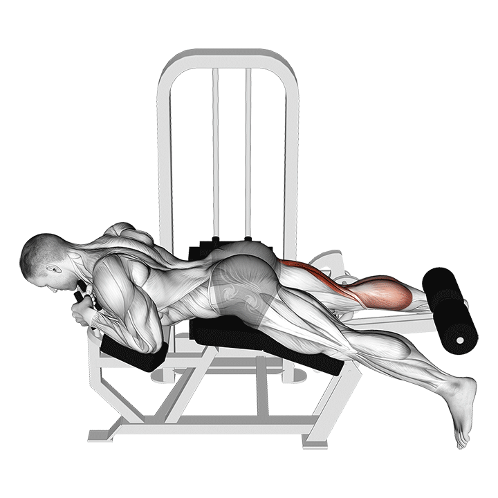 Single-Leg Lying Curl exercise animation