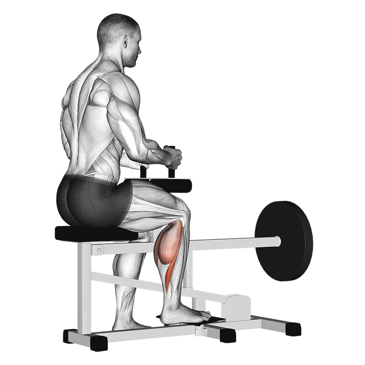 Single Leg Seated Calf Machine Raise exercise animation