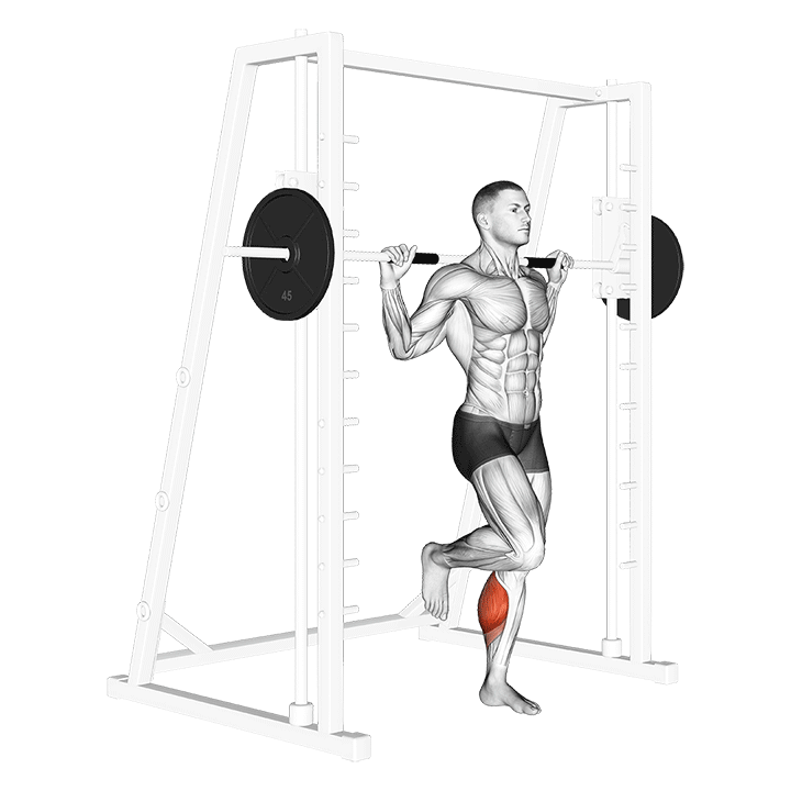 Single Leg Smith Calf Raise exercise animation
