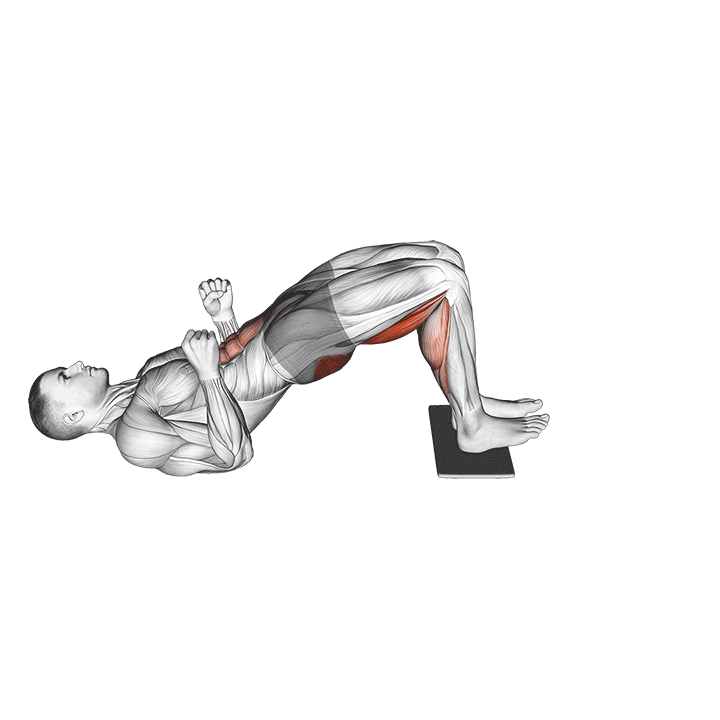 Sliding Leg Curl exercise animation