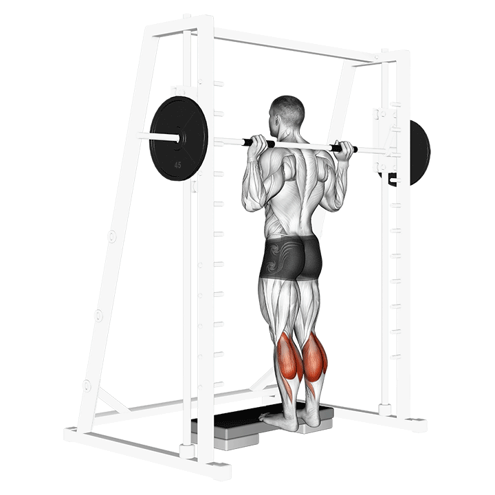 Smith Calf Raises exercise animation