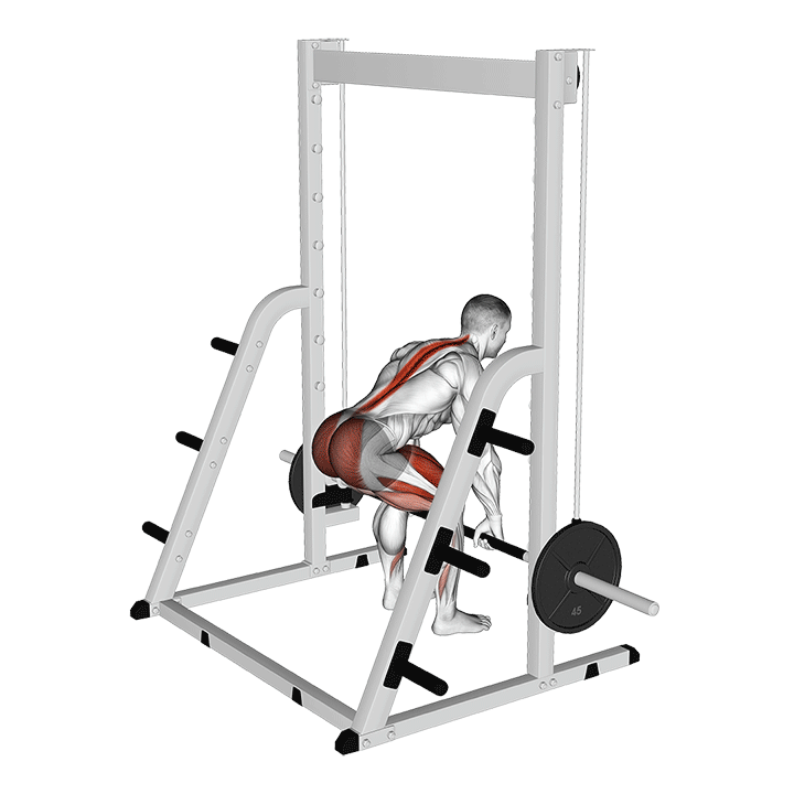 Smith Romanian Deadlift exercise animation