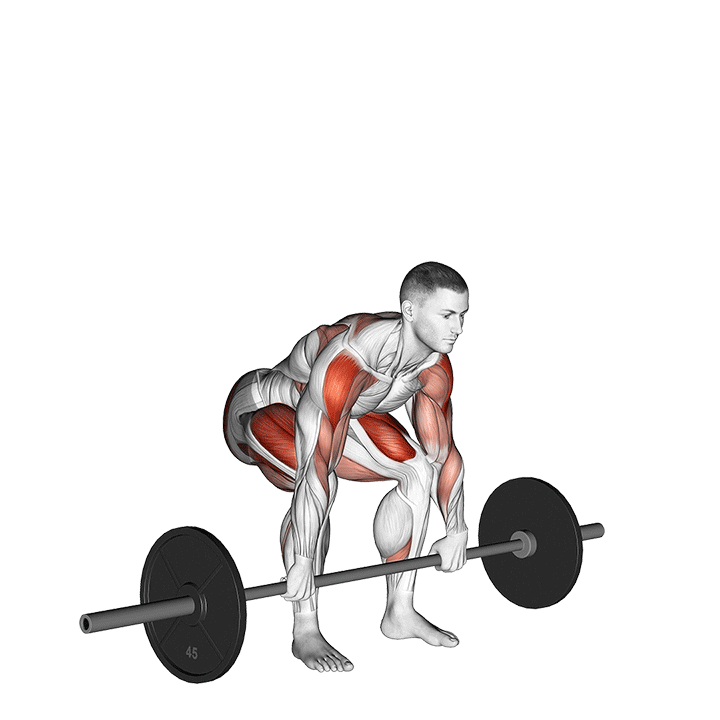 Snatch Pull exercise animation