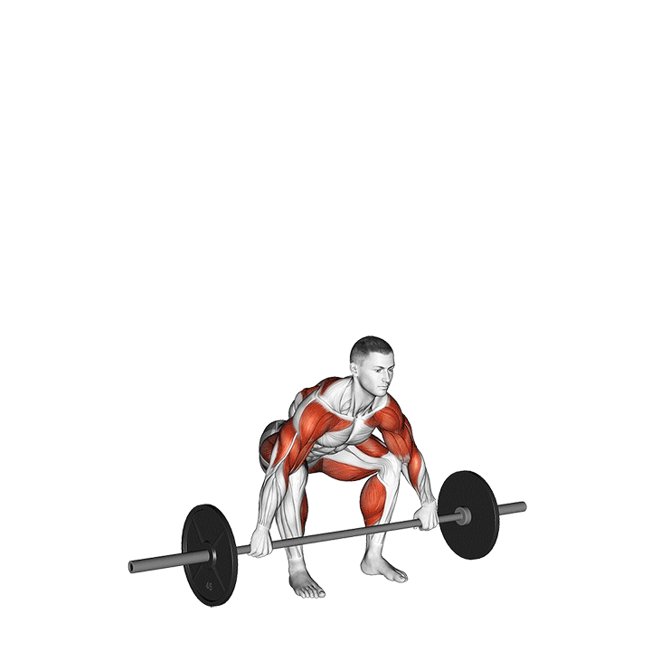 Snatch exercise animation