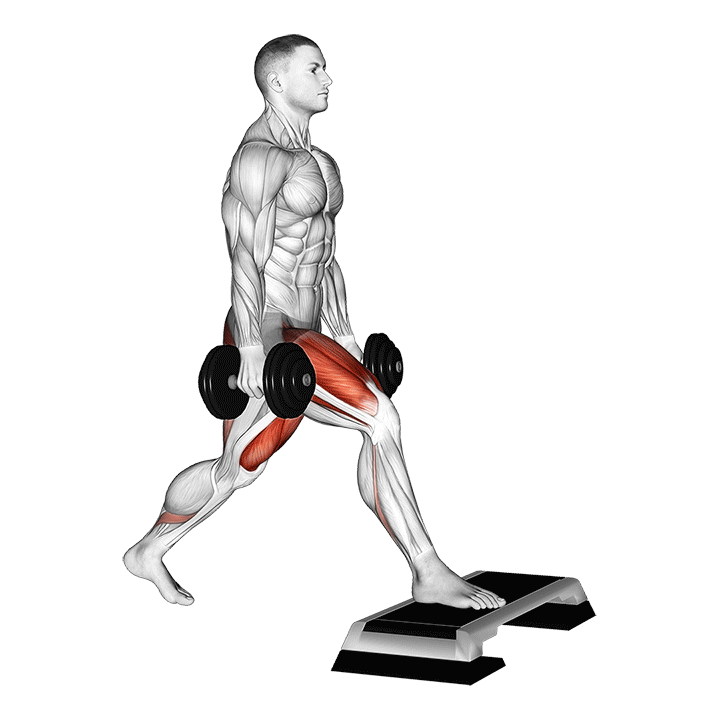 Split Squat Front Foot Elevated exercise animation