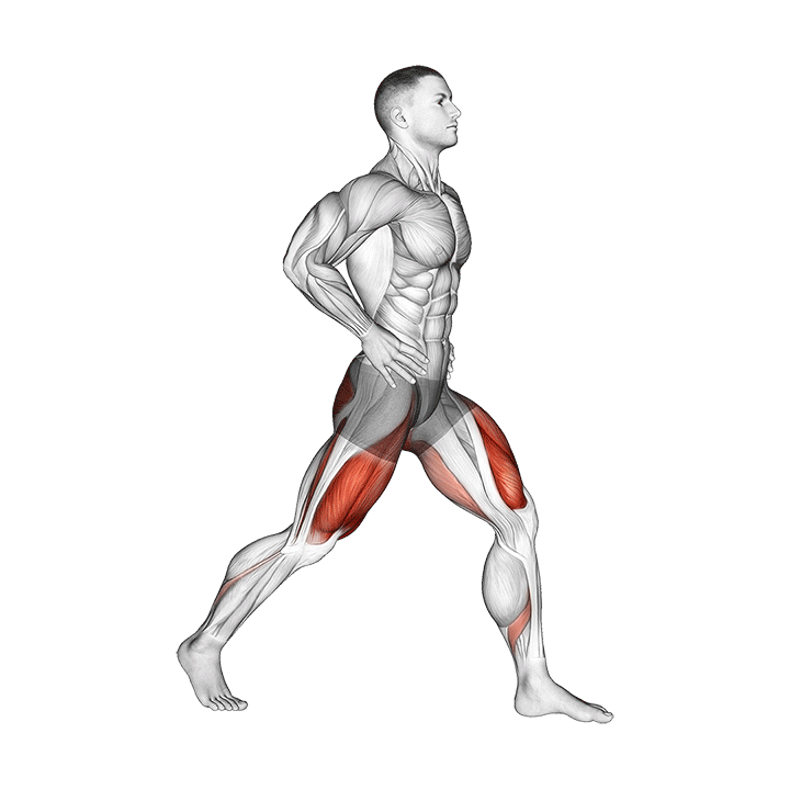 Split Squat exercise animation