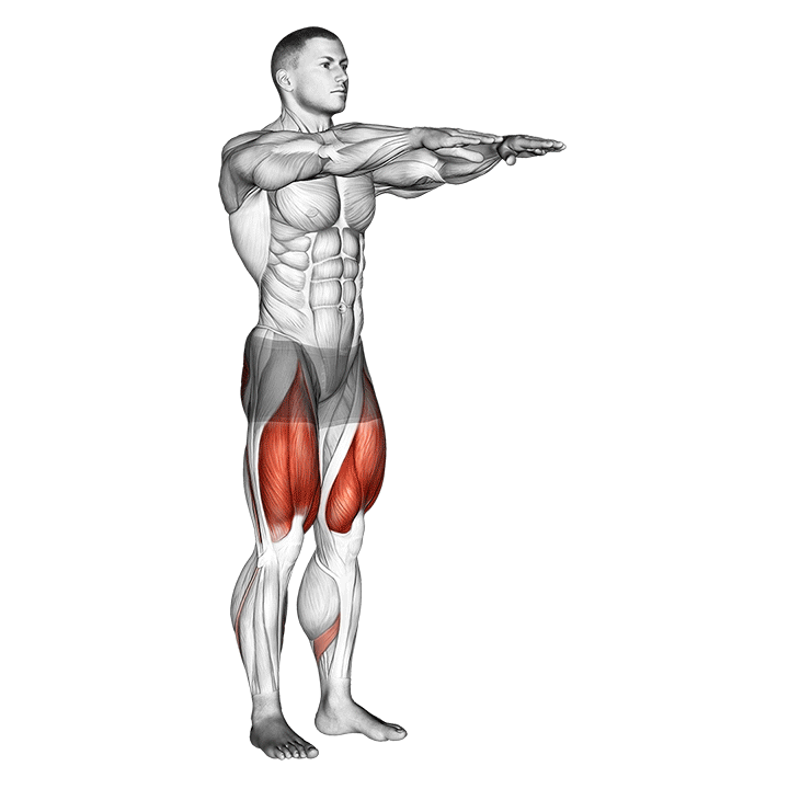 Squat exercise animation