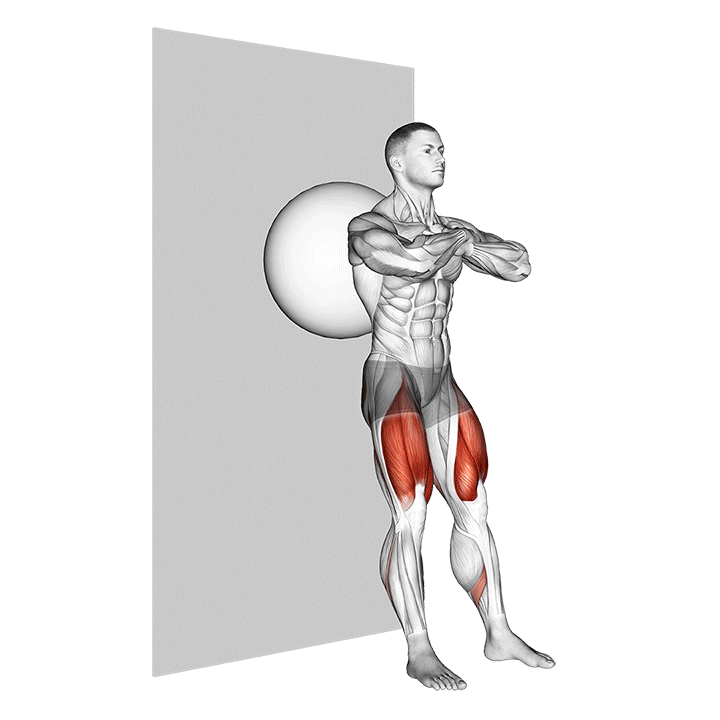 Stabillity Ball Wall Squat exercise animation