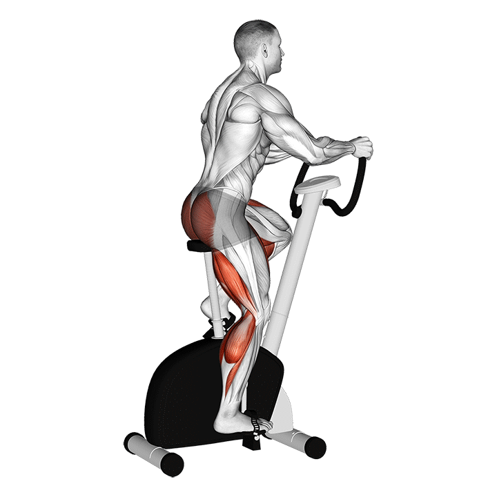 Stacionary Bike exercise animation