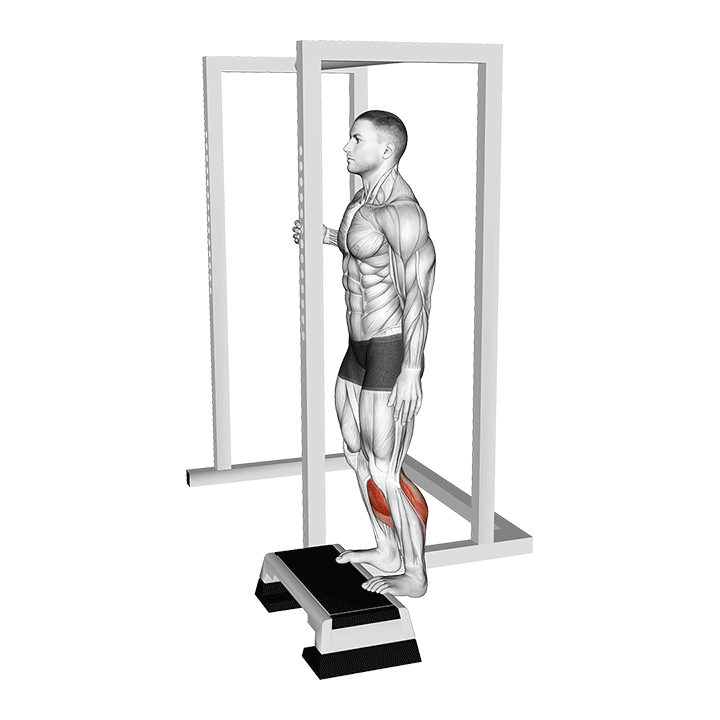 Standing Calf Raise exercise animation