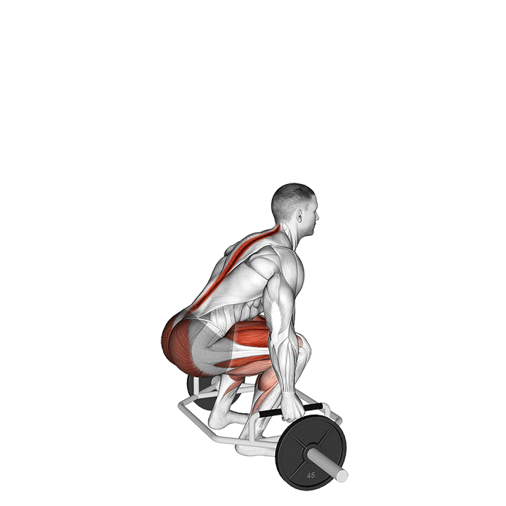 Trap Bar Deadlift exercise animation