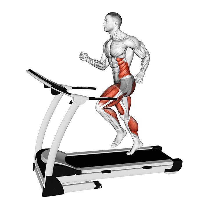 Treadmill Run exercise animation