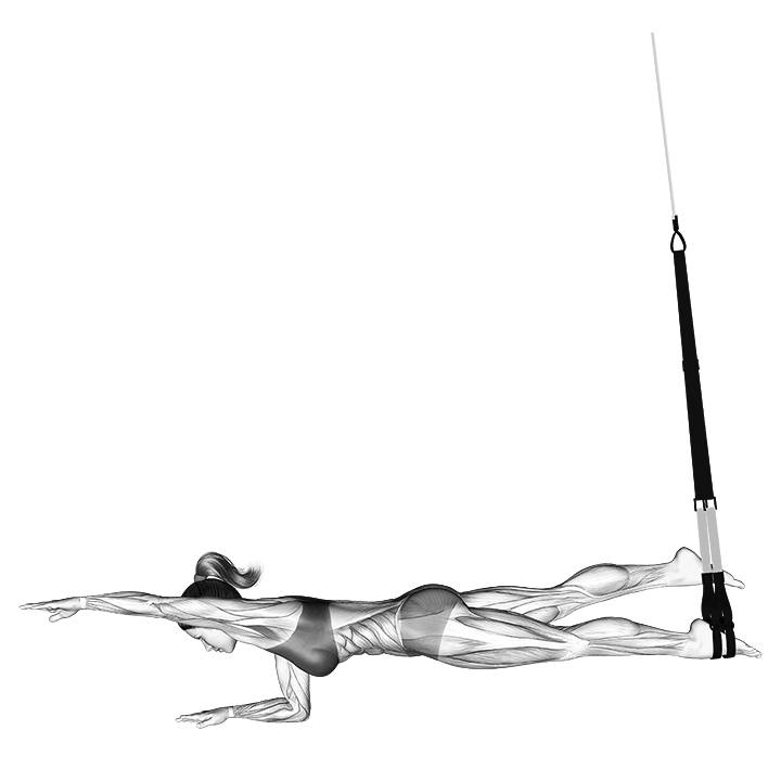 TRX Single Leg Bird Dog exercise animation