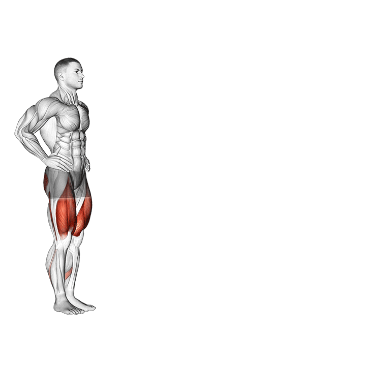Walking Lunges exercise animation