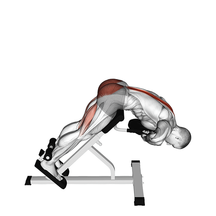 Weighted Back Extension exercise animation