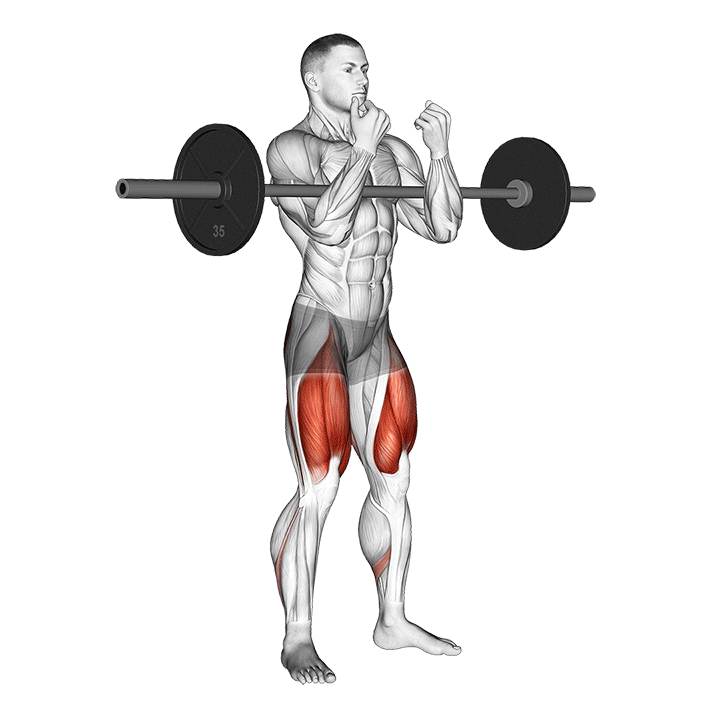 Zercher Squat exercise animation